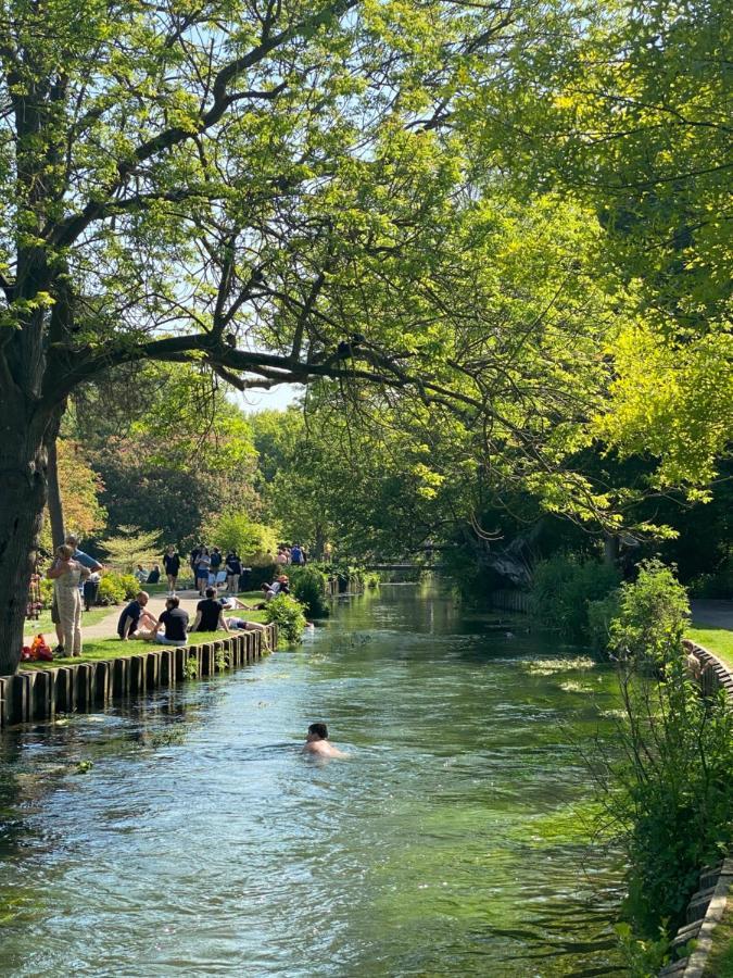 Jesticos, Perfectly Wonderful Central , 1 Parking Included Canterbury Buitenkant foto